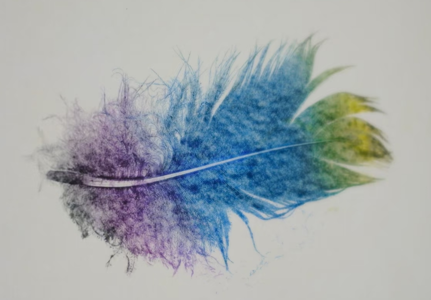 2025年普陀区“野保宣传月”活动——“飞影”羽毛拓印画